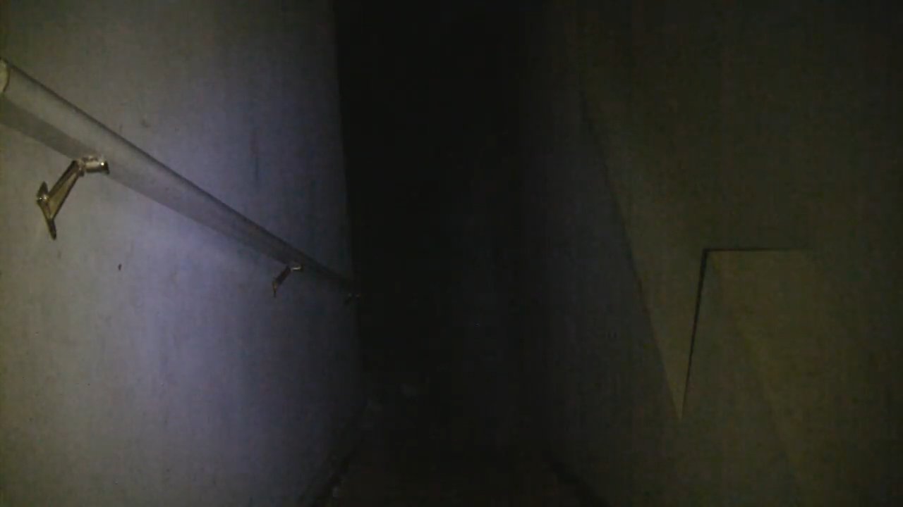 Poltergiest Ghost Caught on Tape Voices from the Basement
