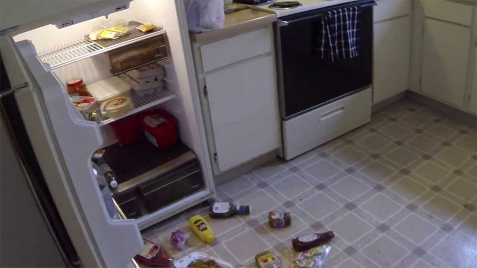 Ghost Caught on Tape Opening Refrigerator