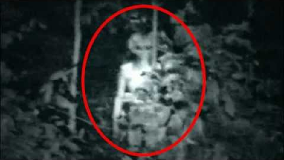 Real Alien Caught on Tape H62_c