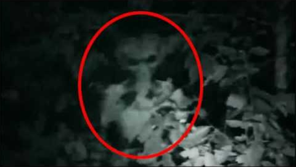 Real Alien Caught on Tape F-56