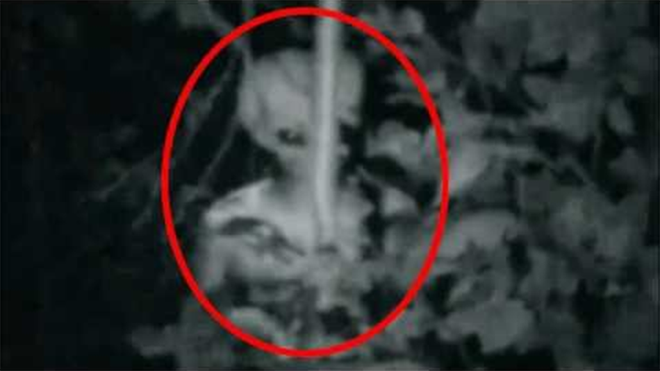 Real Alien Caught on Tape T38-J