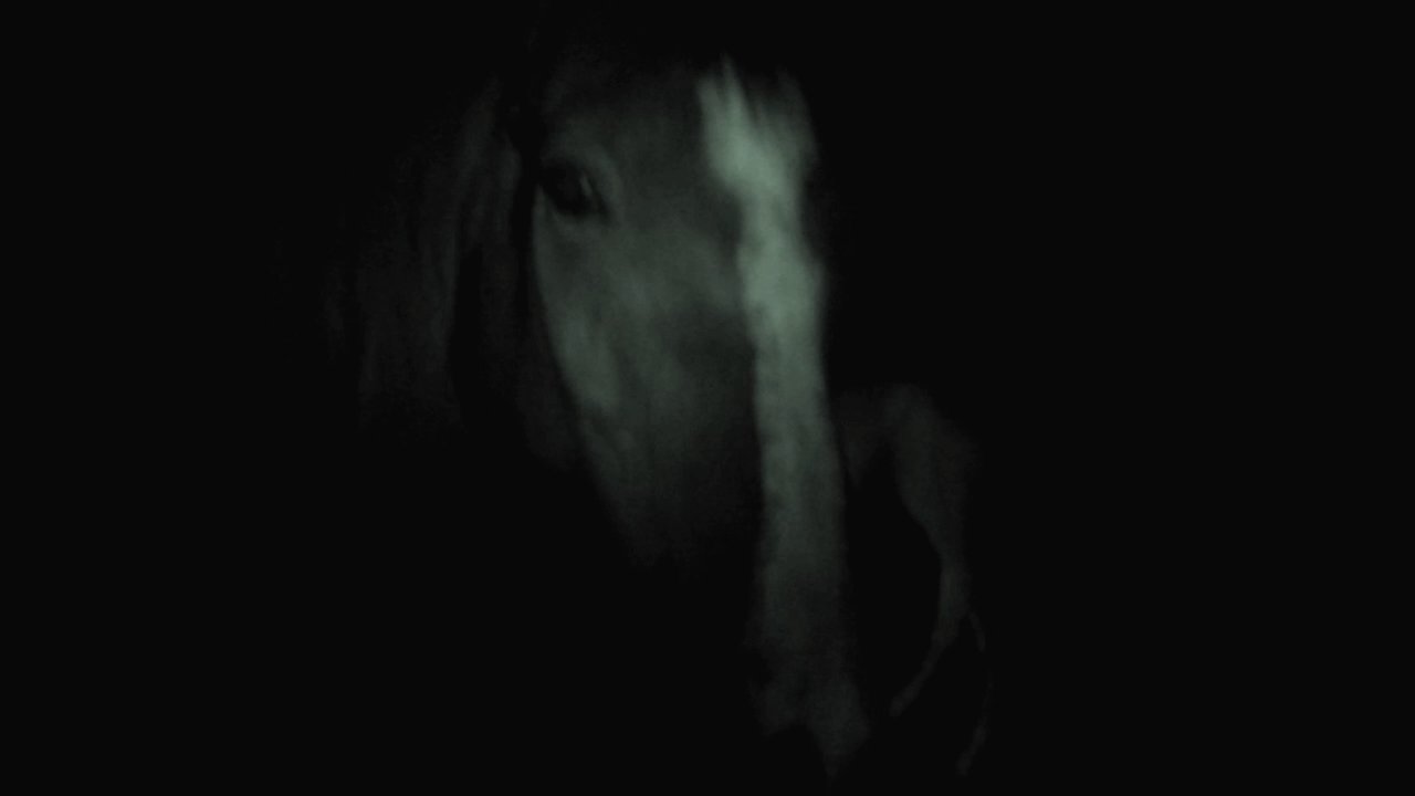 Alien Caught on Tape Black Forest